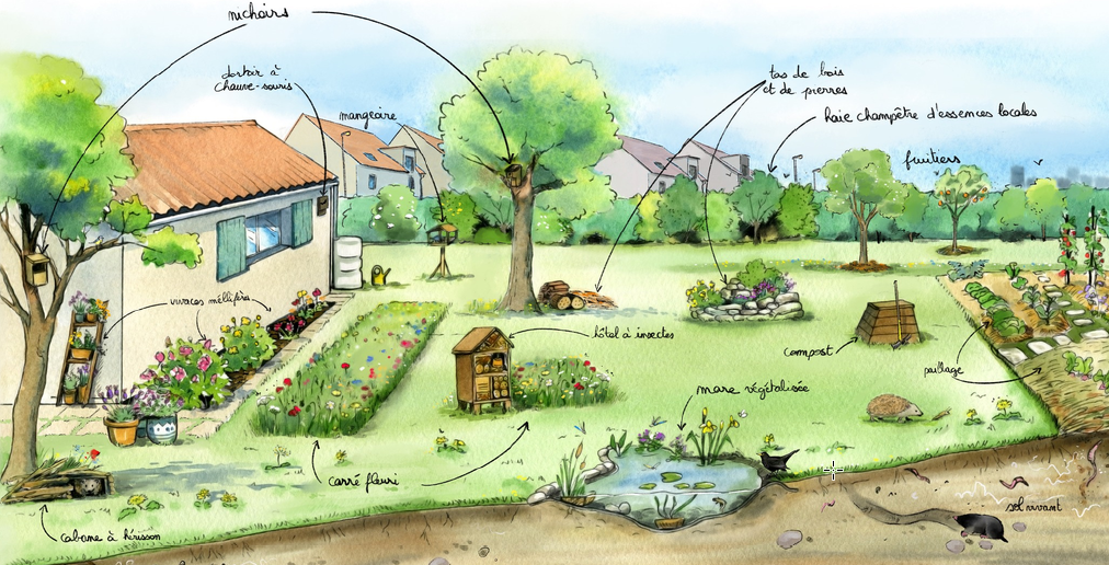 Biodiversité Environnement Naturel